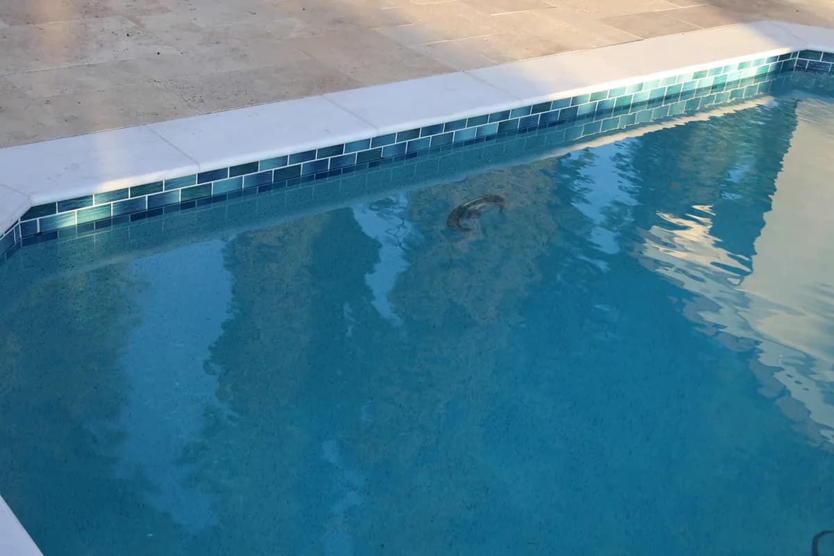 Pool tile and coping detail San Diego